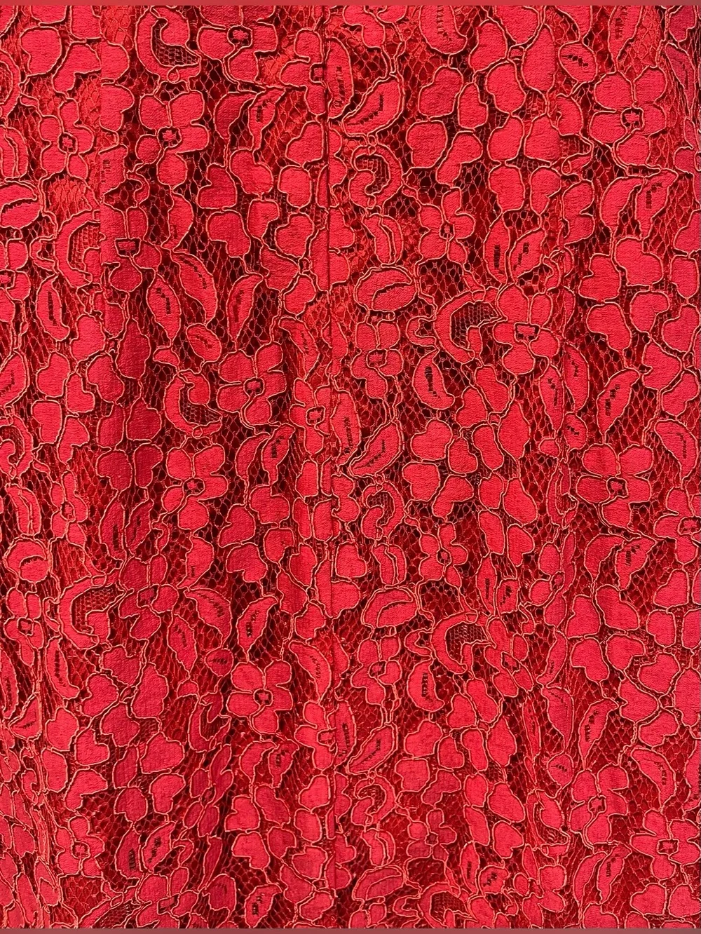The Limited Petite Red Floral‎ Lace V-Neck Mini Dress Size 8 New With Tags